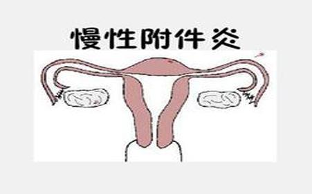 ���Ը����׵����ܲ����κ�