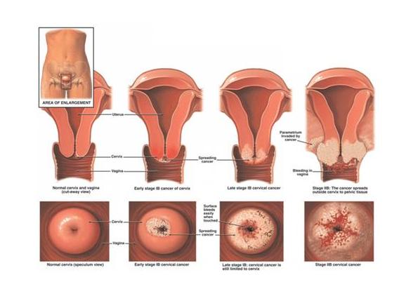 �������ƹ������������רҵһЩ